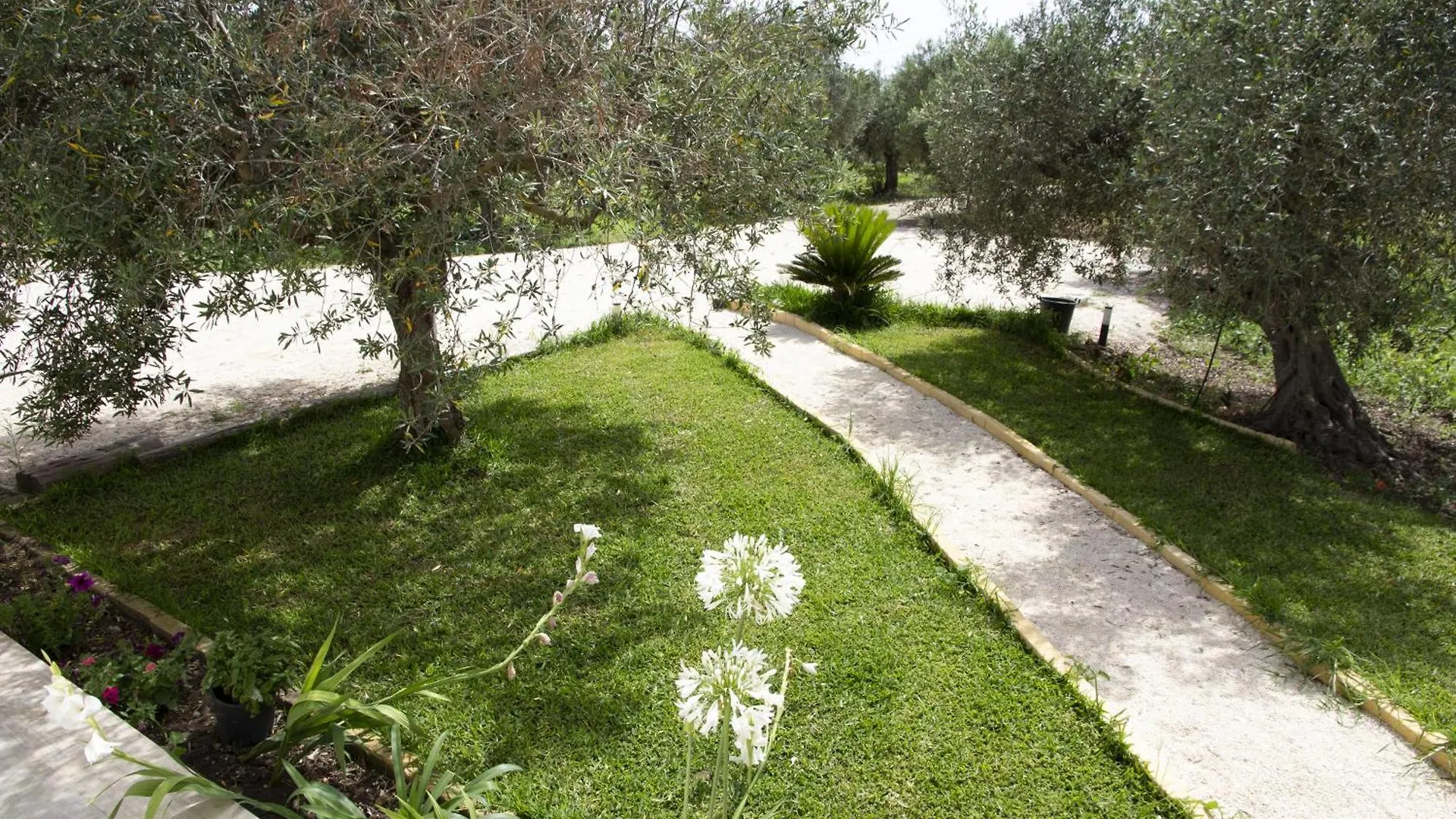Casa vacanze Villa Casa Raineri Paceco Italia